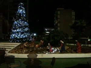 IMG_3582