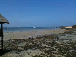IMG_3750
