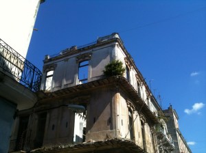 IMG_7272