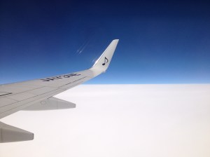 IMG_8451