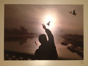 IMG_0198