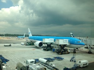 IMG_0241