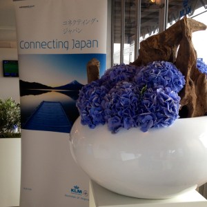 foto 3 (2)
