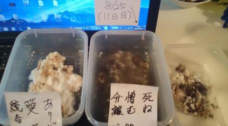 言霊実験２
